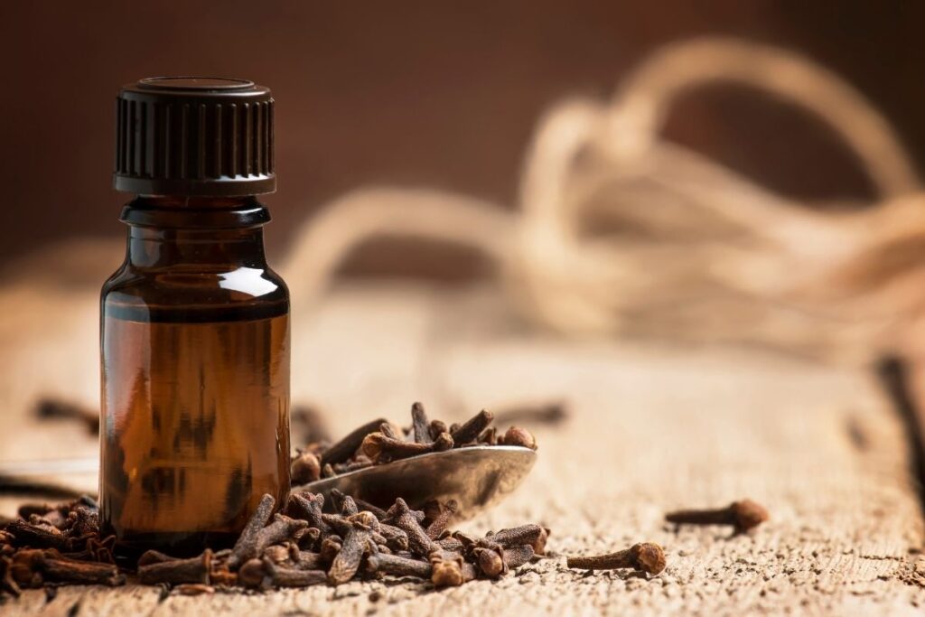 Bottle of Clove Essential Oil