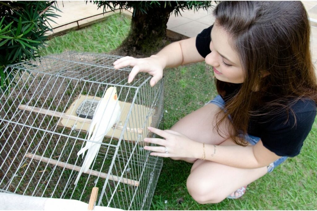 Girl Looking at Pet Bird in Cage