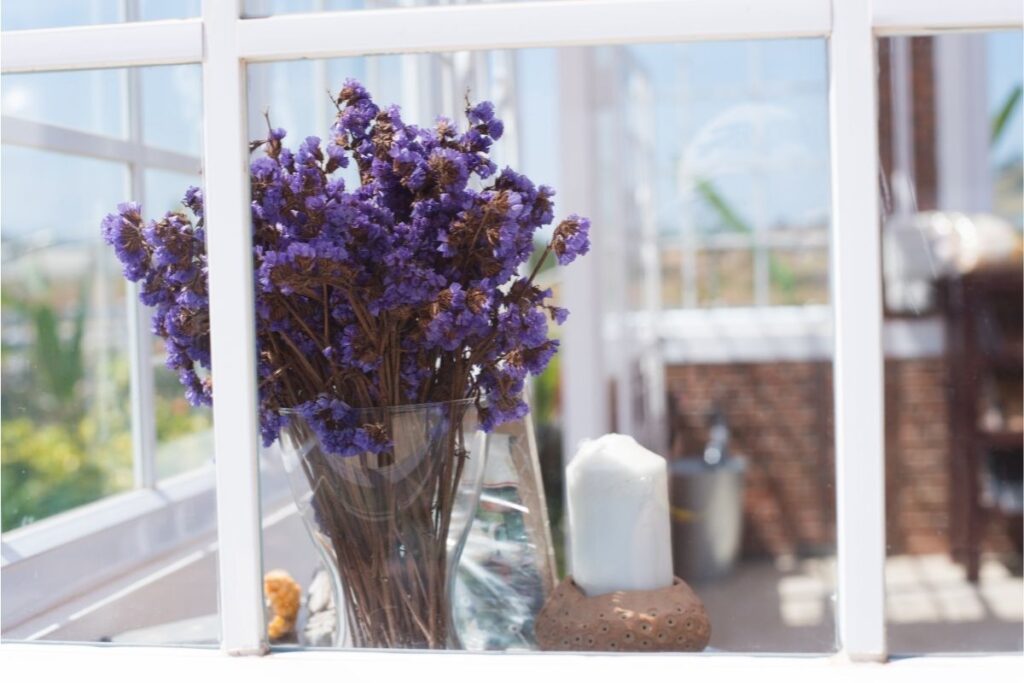 Lavender in Vase