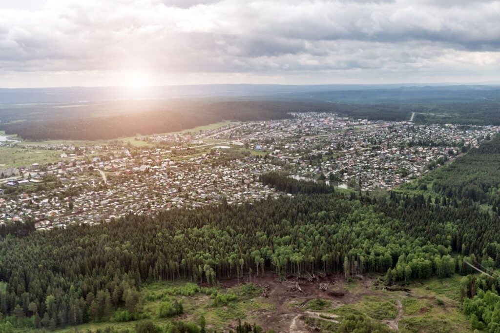 Town and Forest